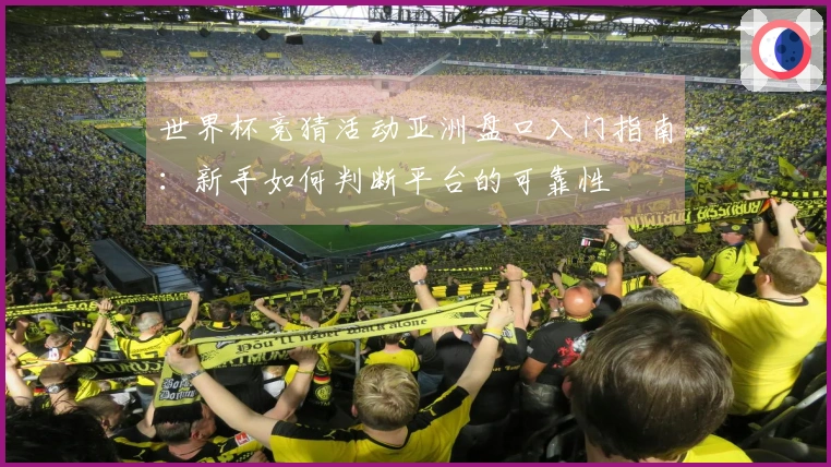 世界杯竞猜活动亚洲盘口入门指南：新手如何判断平台的可靠性